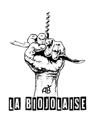 logo-final-Biojolaise-1